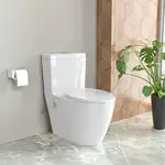 توالت فرنگی چینی کرد مدل آنتوریوم / Anthurium thumb 4