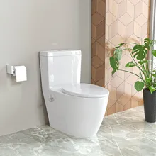 توالت فرنگی چینی کرد مدل آنتوریوم / Anthurium gallery3