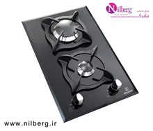 اجاق گاز صفحه ای کلانزه مدل G 216s gallery0