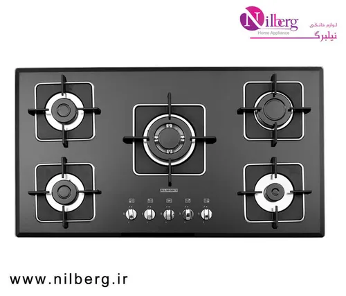 اجاق گاز رومیزی پنج شعله استیل البرز مدل G-5960 I