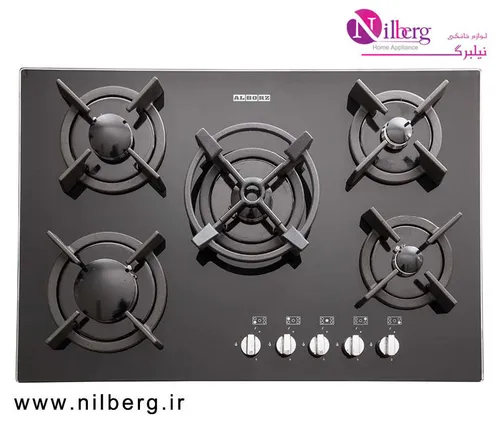 اجاق گاز رومیزی پنج شعله استیل البرز مدل G-5701
