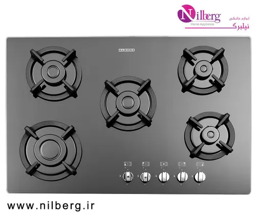 اجاق گاز رومیزی پنج شعله استیل البرز مدل G-5753 i