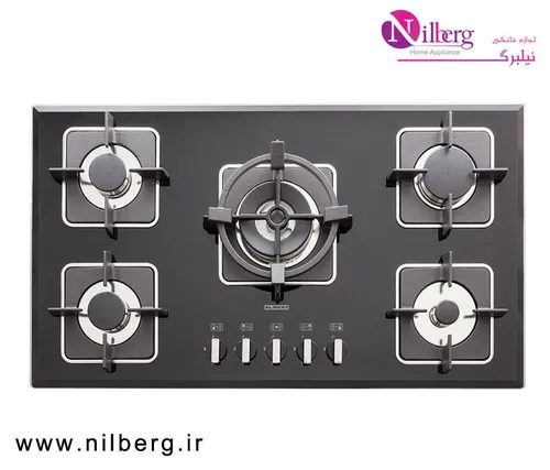 اجاق گاز رومیزی پنج شعله استیل البرز مدل G-5910